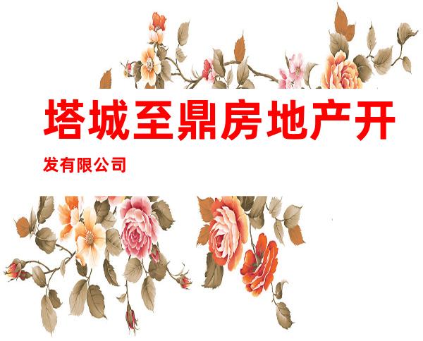 塔城至鼎房地产开发有限公司